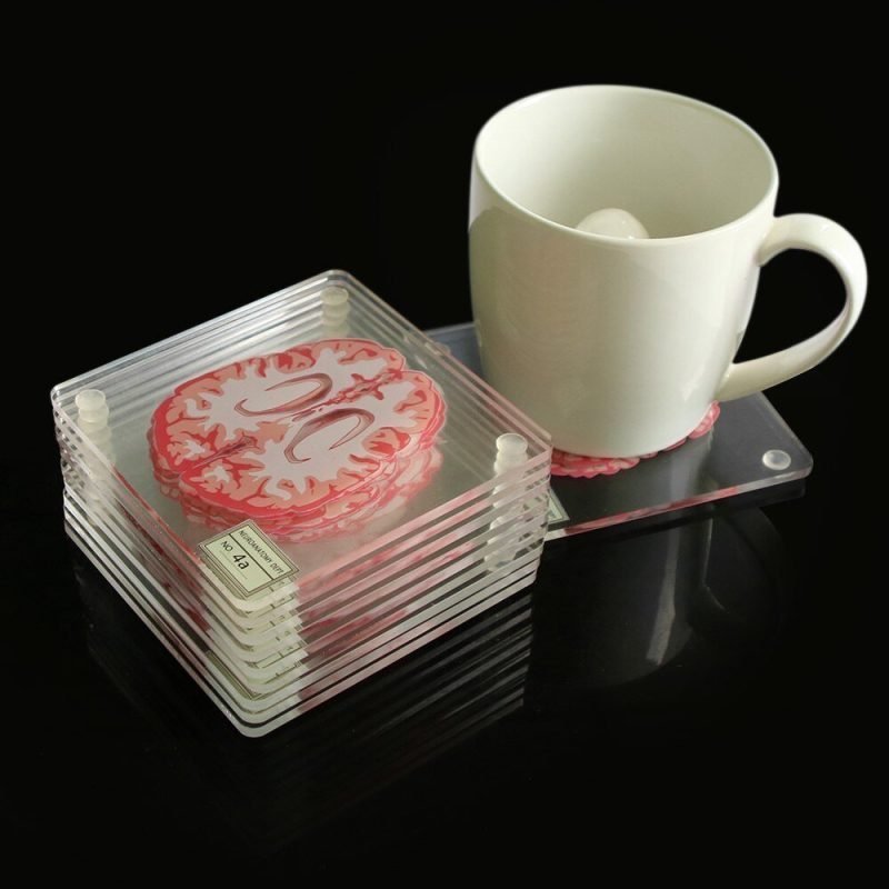Cool Anatomic Brain Specimen Novelty Placemats Coaster