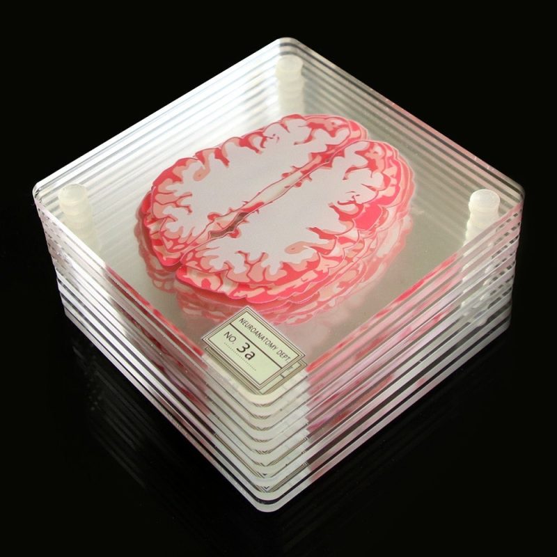 Cool Anatomic Brain Specimen Novelty Placemats Coaster