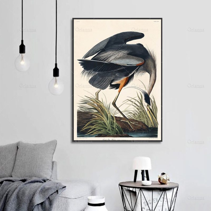 John Audubon Birds of America Posters Archival Canvas Unframed
