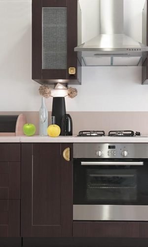 Cabinet Handles Art Deco Sea Shell — Golden & Black, Zinc Alloy