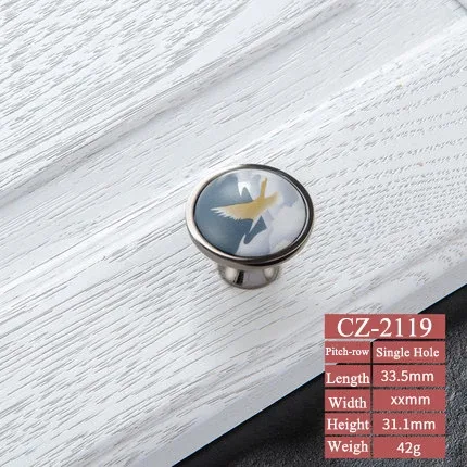 CZ-2119
