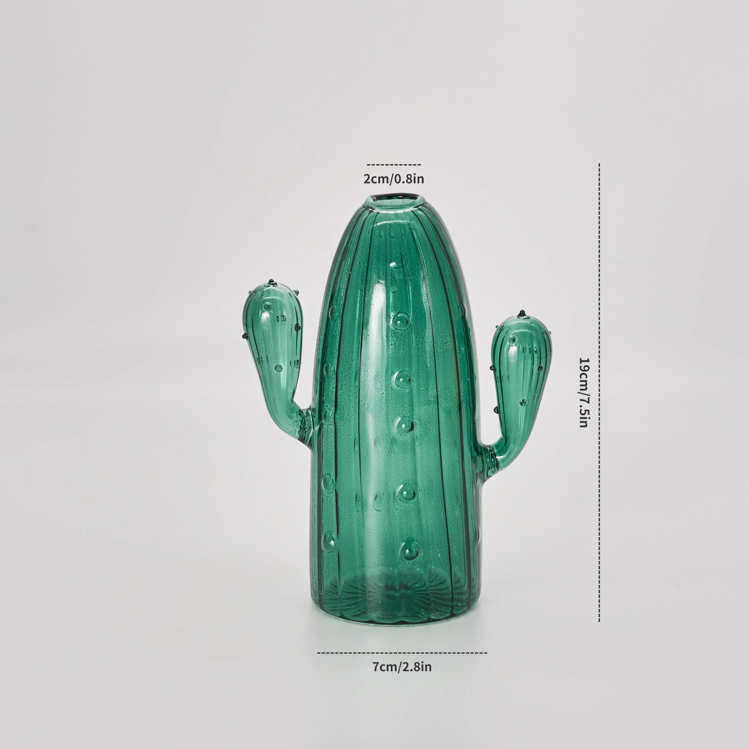 Cactus E