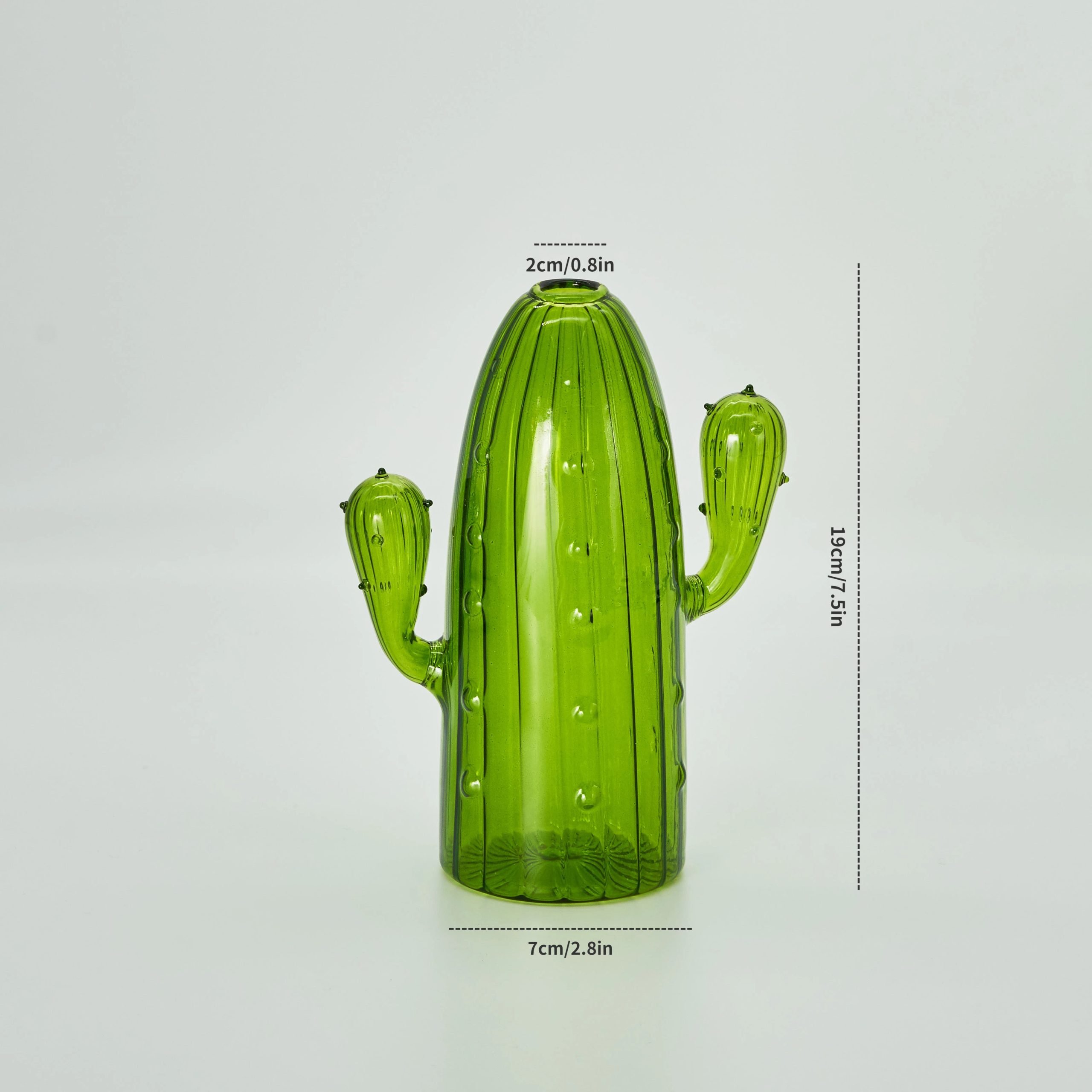 Cactus B