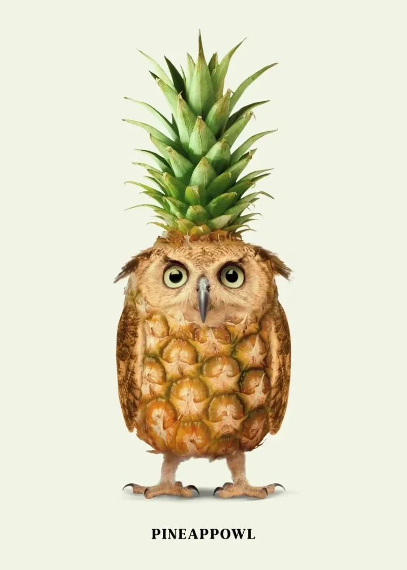 Fruit Vegetables & Animal Hybrids Fun Prints Art Posters Animal Merge Fruit Posters