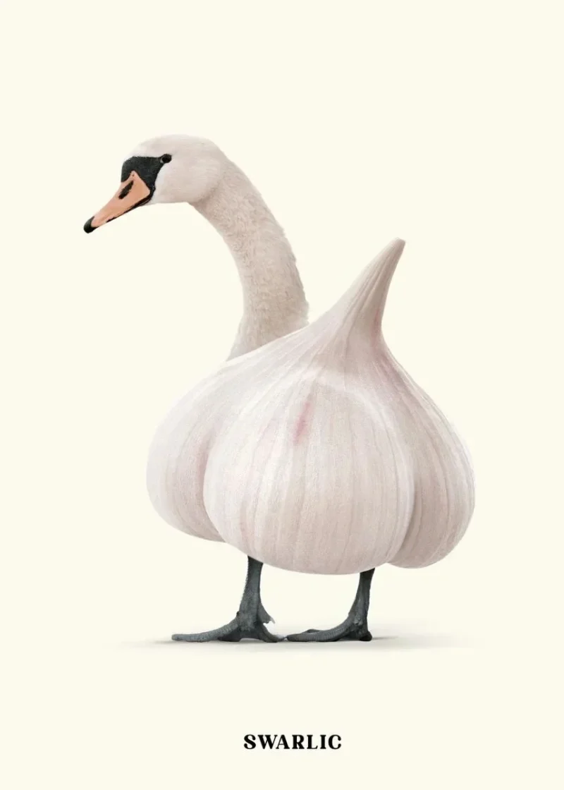 Fruit Vegetables & Animal Hybrids Fun Prints Art Posters Animal Merge Fruit Posters
