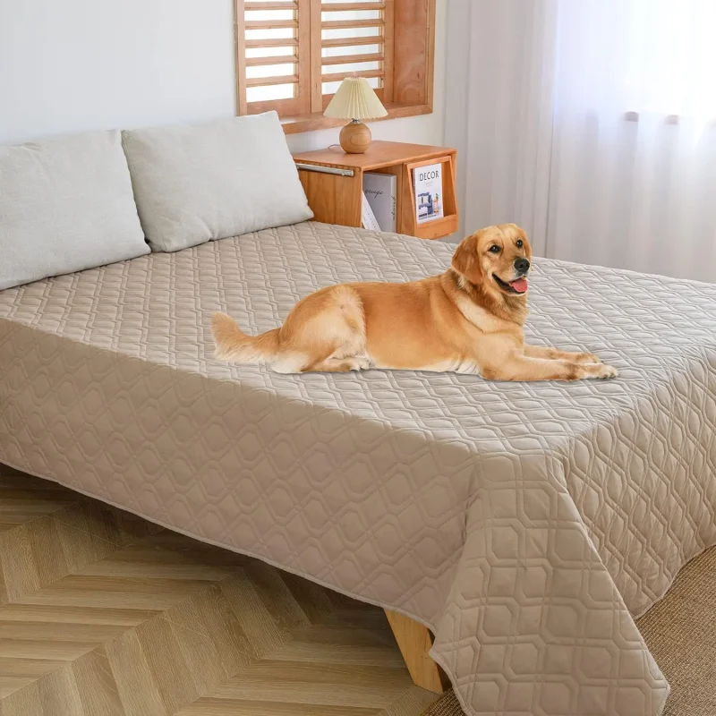 Bed Mattress Cover Water Repellent — Pet-Proof Bedspread 2 Colours Water Repellent Mattress Cover pet proof bedspread King / Queen Size & double beds